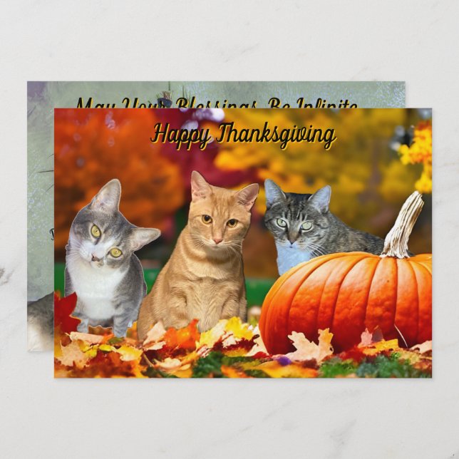 Tito, Taz, and Annie's 2025 Thanksgiving Flat Card (Frente/Verso)