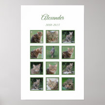 Título: Customizable Pet Memorial Poster