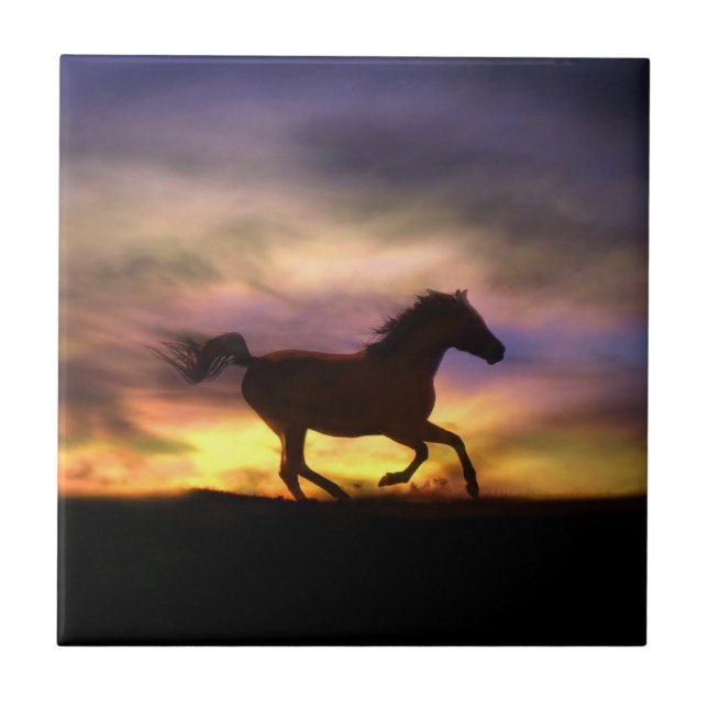 Título da Arte do Cavalo (Frente)