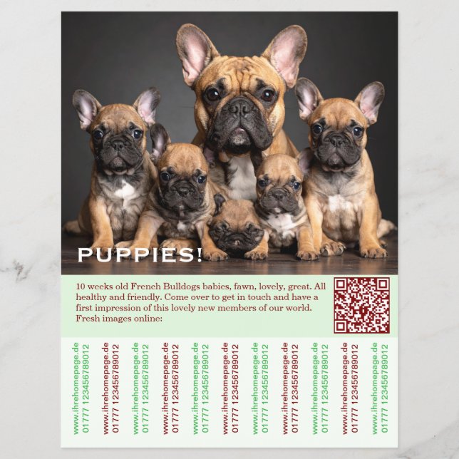 To sell Frenchies Puppy Flyer (Frente)