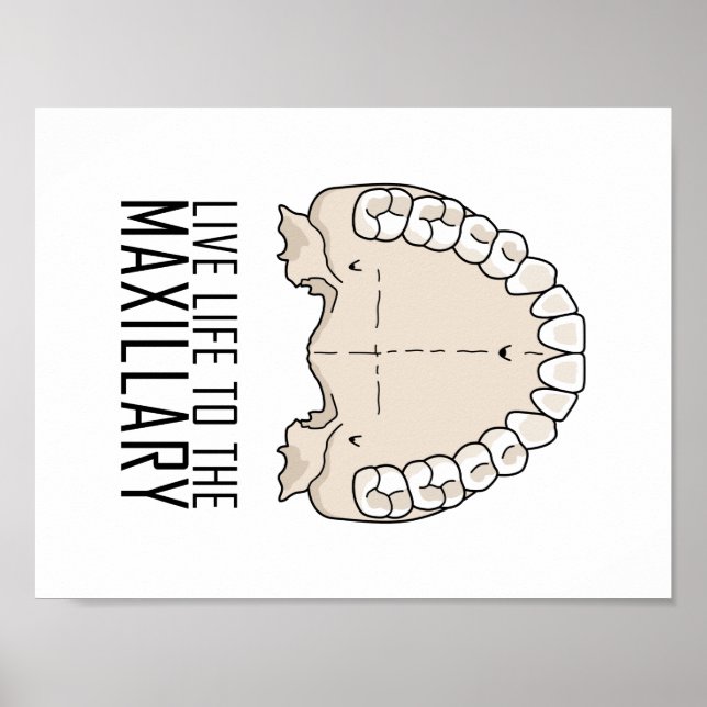 "To the Maxillary" Poster (Frente)