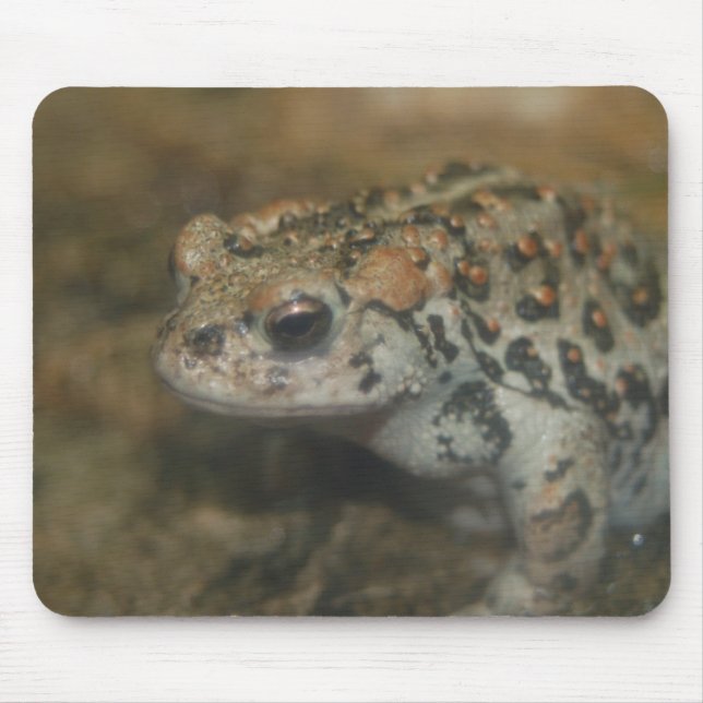 Toad Mousepad (Frente)