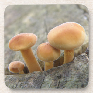 Toadstools em uma Porta copos do tronco de árvore