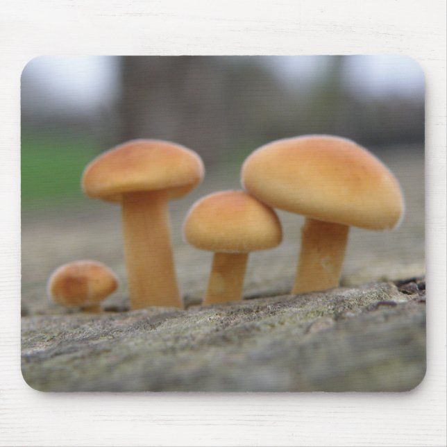 Toadstools Macro Mousepad (Frente)