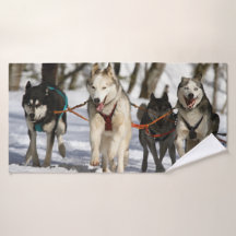 corrida de cães de trenó Rouco