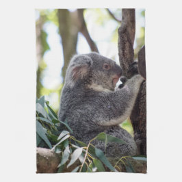 Toalha de cozinha do urso de Koala