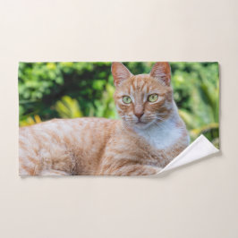 Toalha De Mão Doce gatinho