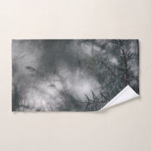 Foto da Natureza Floral Juniper Dark Moody