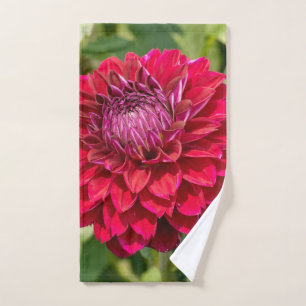 Toalha De Mão Fotografia Rosa Dahlia, Flor Canadense
