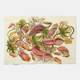 Toalha De Mão Ilustração Botânica da Planta Jarro de Haeckel