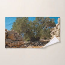 Jardins Olivais de Lun