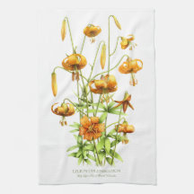 Lírios Tiger Selvagens