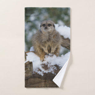 Toalha De Mão Meerkat No Impressão De acrílico De Neve
