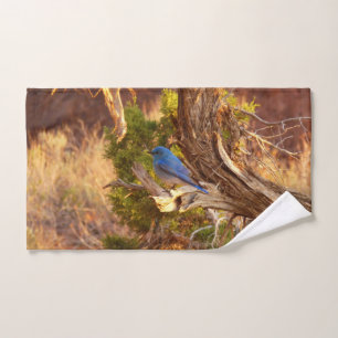 Toalha De Mão Mountain Bluebird no Parque Nacional de Arches