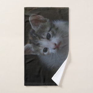 toalha de mão para fotografia de gatinho