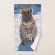 Quokka feliz na praia