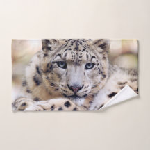 Retrato impressionante do leopardo-da-neve