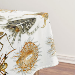 Toalha De Mesa Aracnídeos por ilustração vintage de Ernest Haecke