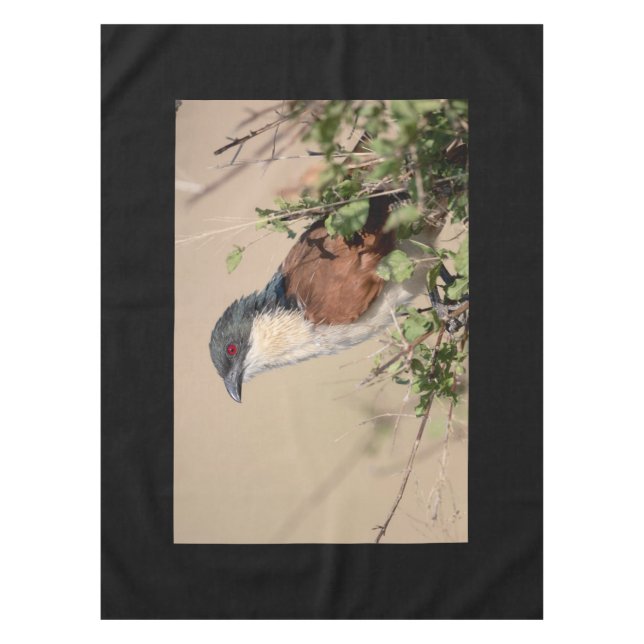 Toalha De Mesa Cal de Burchell (Frente)