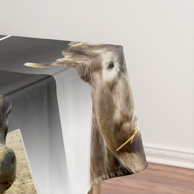 Toalha De Mesa Cara De Vaca Grande E Castanha Mascando Hay, (Posição Original)