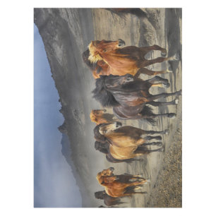 Toalha De Mesa Cavalos em um tiro