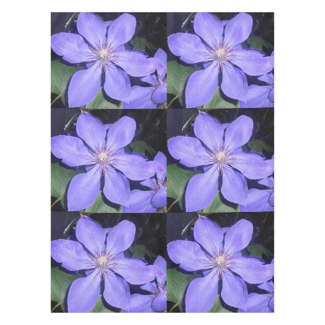 Toalha De Mesa Césarine (Frente)