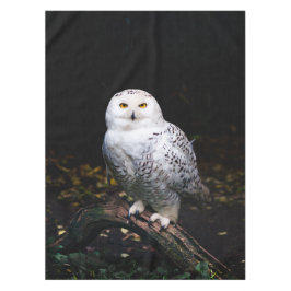 Toalha De Mesa Coruja de neve majestosa no inverno