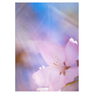 Toalha De Mesa Flor rosa de cereja