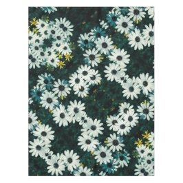 Toalha De Mesa Flores Pálidas Pastel Namaqualand Osteospermum