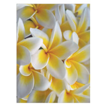 Frangipani Plumeria flores casamento