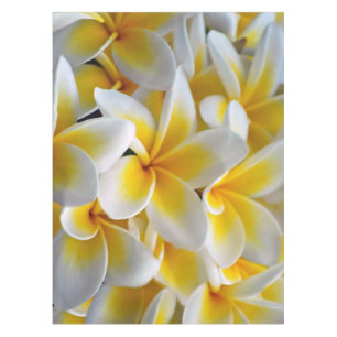 Toalha De Mesa Frangipani Plumeria flores casamento
