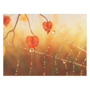 Toalha De Mesa Gemas de uma mesa de manhã de outono