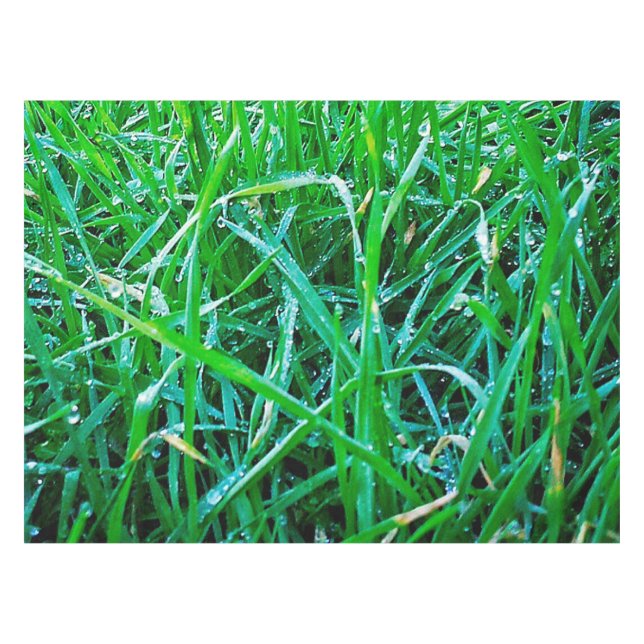 Toalha De Mesa Grama Dewy (Frente (Horizontal))