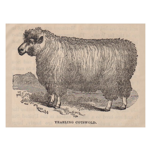 Toalha De Mesa impressão do século XIX (Frente (Horizontal))