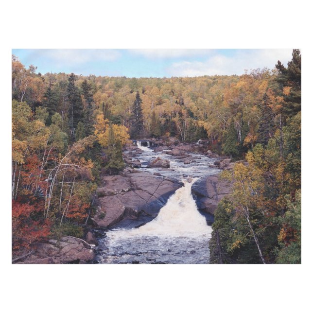 Toalha De Mesa O castor derruba o pano de mesa (Frente (Horizontal))