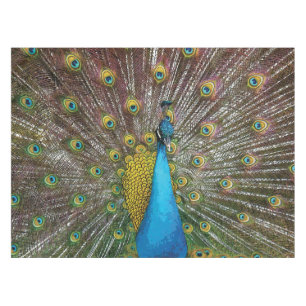 Toalha De Mesa Pavão régio com plumagem azul e Dourado da cerce