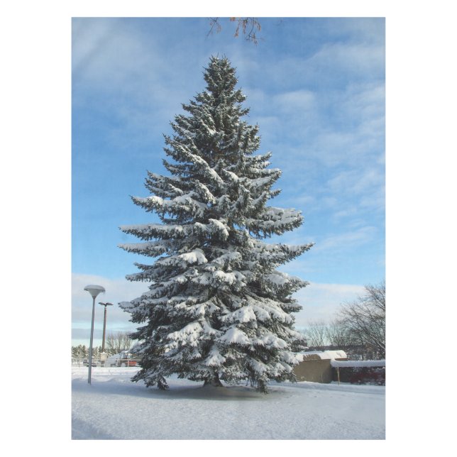 Toalha De Mesa Pine Tree in Snow Tablecloth (Frente)