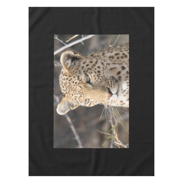 Toalha De Mesa Retrato leopardo (Frente)