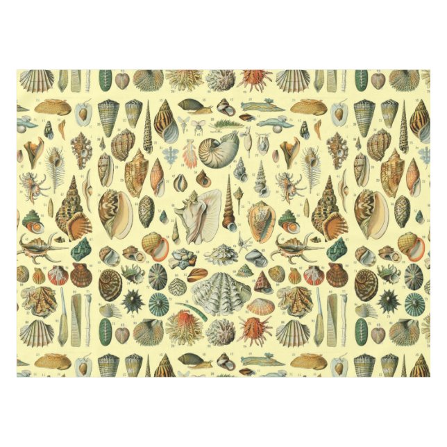 Toalha De Mesa Seashell Shell Mollusk Clam Elegant Clam Art (Frente (Horizontal))
