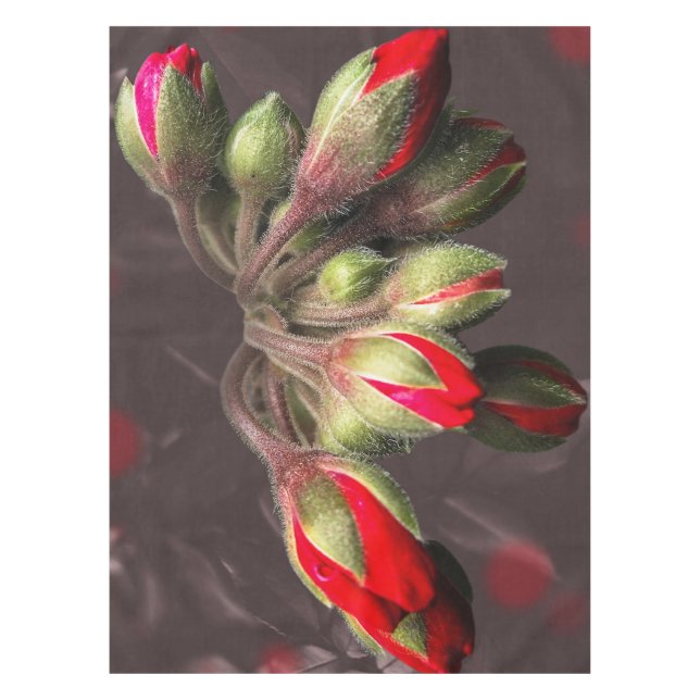 Toalha De Mesa Tablecloth Bloom Red And Dark (Frente)