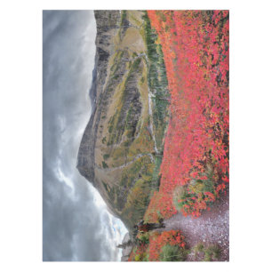 Toalha De Mesa Trilha de Passagem Swiftcurrent - Parque Nacional 