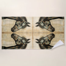 Acentos Escrevados de Equina Harmonia