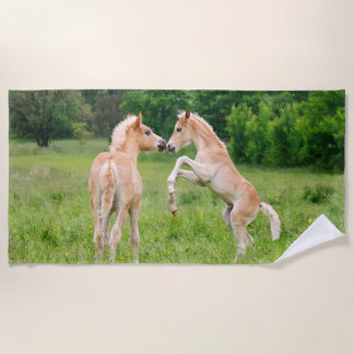 Toalha De Praia Amigos bonitos dos potros dos cavalos de Haflinger