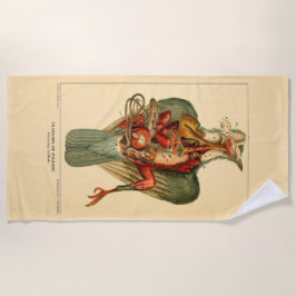 Toalha De Praia Anatomia de um Pombo