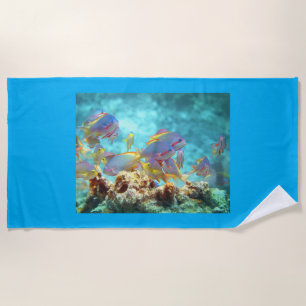 Toalha De Praia Anthias - Colorida escola de peixes no recife de c