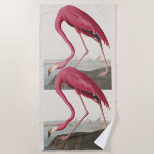 Toalha De Praia Arte de Pássaro Rosa Flamingo Americano Vintage Au