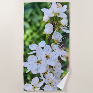 Toalha De Praia Árvore em Flor na Primavera Romênia – Fotografia d