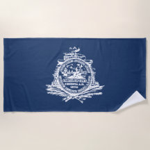 Bandeira de Charleston (Carolina do Sul)