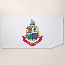 Bandeira de Stamford (Connecticut)