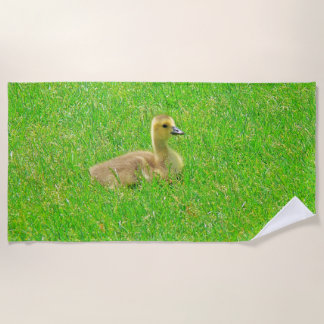 Toalha De Praia Beach Towel